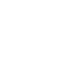 Search Engine Optimization (SEO) Icon